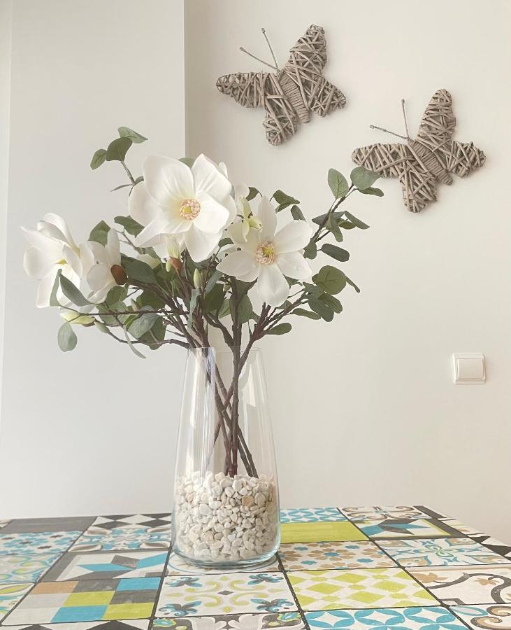 Apartamento Pinares Daire Soria Dış mekan fotoğraf
