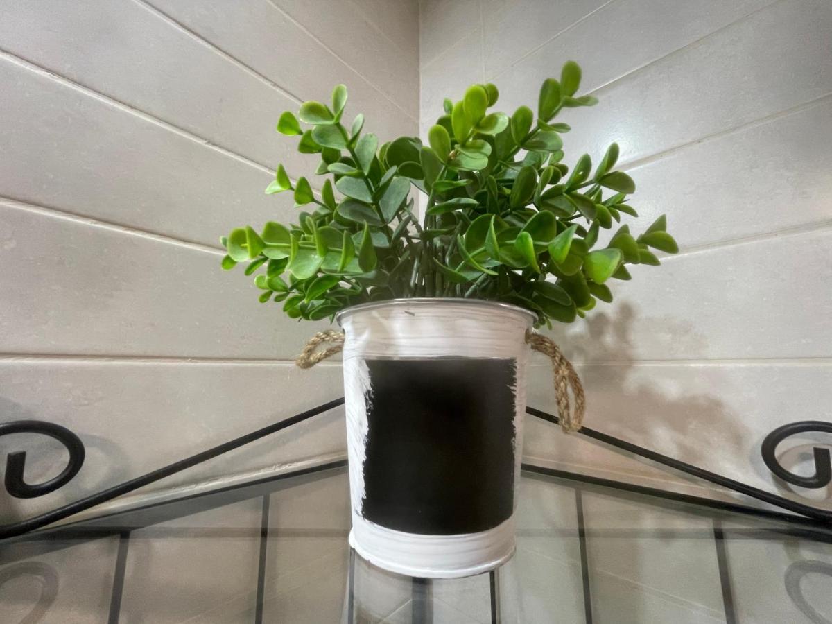 Apartamento Pinares Daire Soria Dış mekan fotoğraf