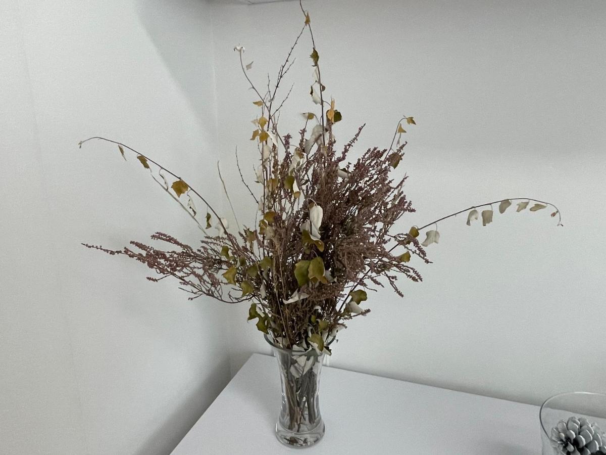 Apartamento Pinares Daire Soria Dış mekan fotoğraf